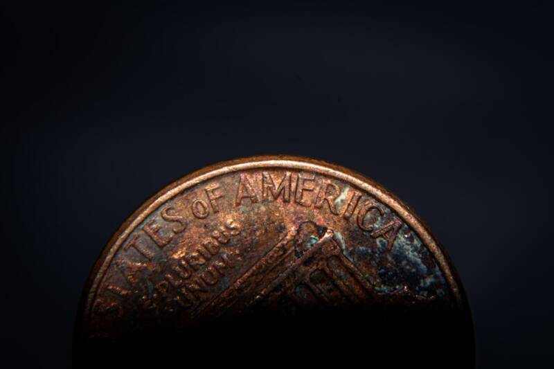 Het succes en vermogen van Martien Meiland uitgelegd