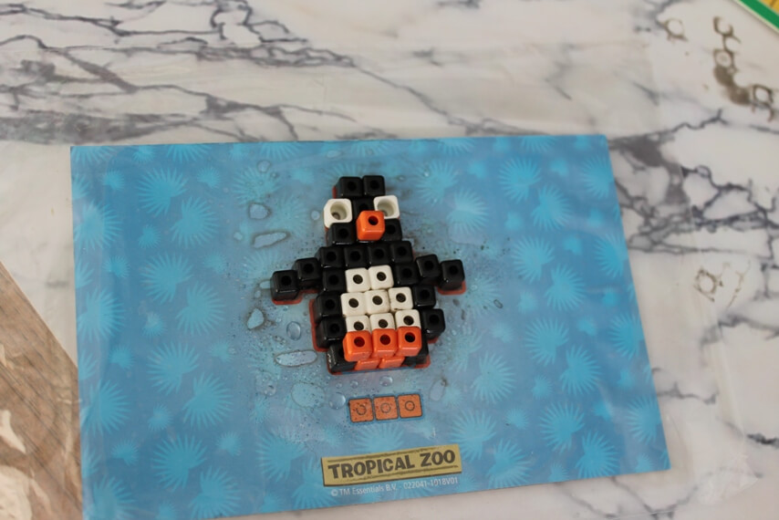 tropical zoo