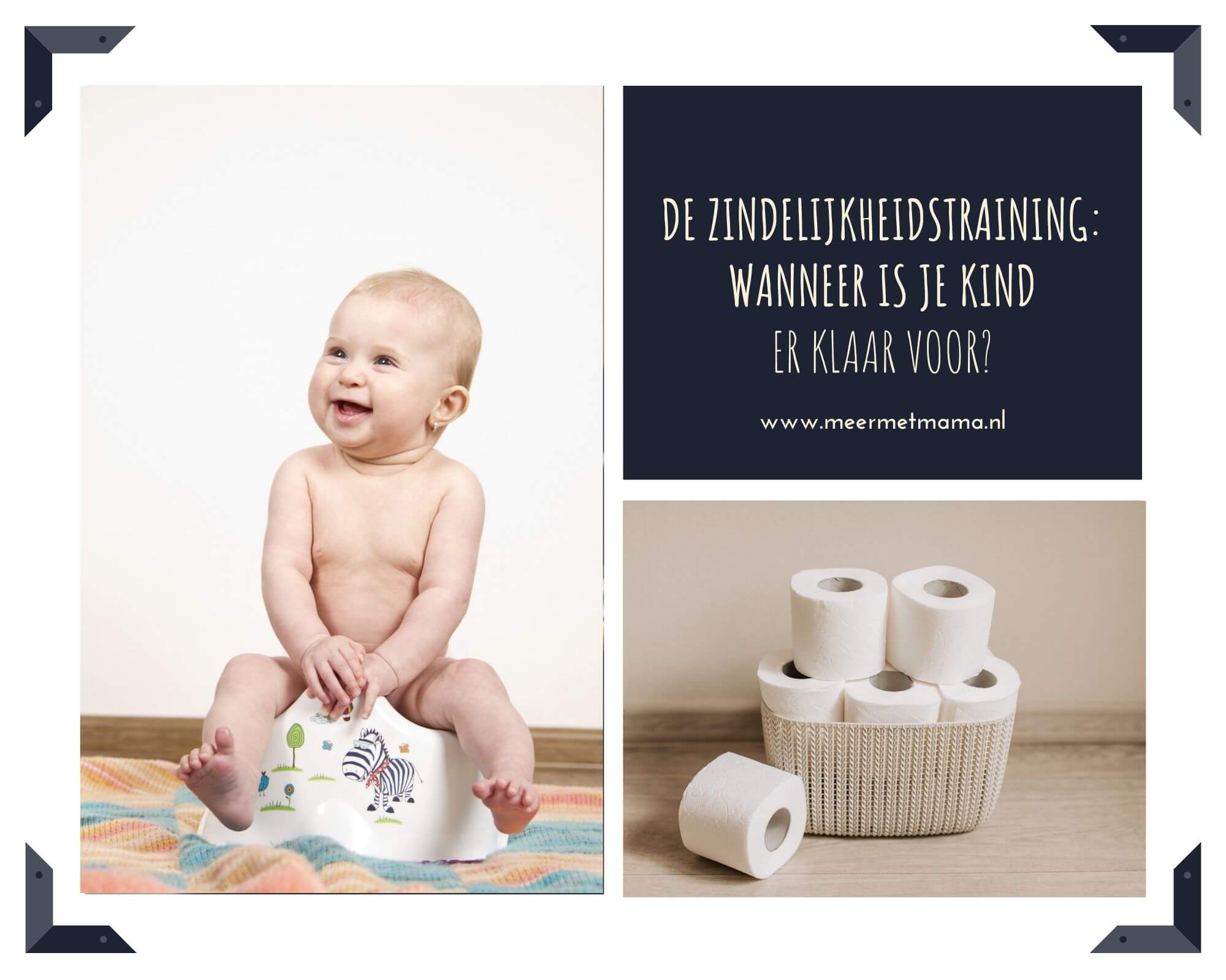 Zindelijkheidstraining