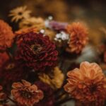 Wat betekent een telefoontje van +31 10 808 53 47?