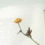 boekenlegger knutselen