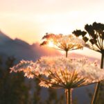 Het liefdesleven van Kjeld Nuis: Joy Beune aan zijn zijde