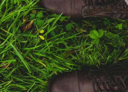 Tuinieren met stijl: de juiste schoenen maken het verschil