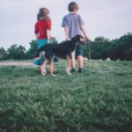 Kinderen op het gras, de hond in de tuin en dan die plaag