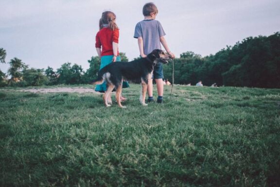 Kinderen op het gras, de hond in de tuin en dan die plaag