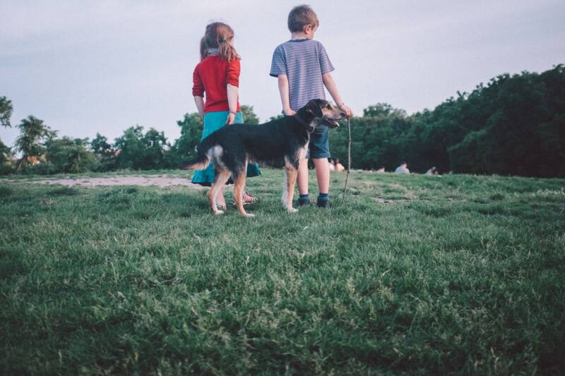 Kinderen op het gras, de hond in de tuin en dan die plaag